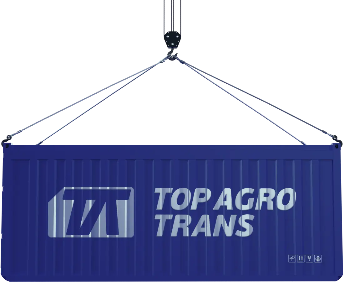 Кейс: TOP AGRO TRANS | AVIS DIGITAL STUDIO